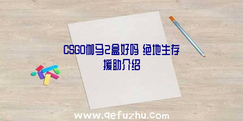 CSGO伽马2盒好吗